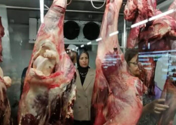 أسعار اللحوم الحمراء اليوم الأربعاء