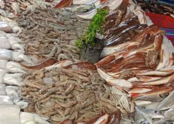 أسعار الأسماك في سوق العبور اليوم الجمعة