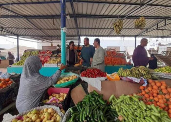 أسعار الخضار والفاكهة اليوم الثلاثاء