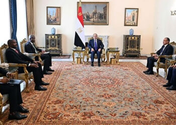 الرئيس السيسي يستقبل وزير العلاقات الدولية والتعاون الدولي بجنوب أفريقيا