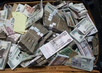 نصاب يستولي من مواطنين على 19 مليون جنيه بالجيزة