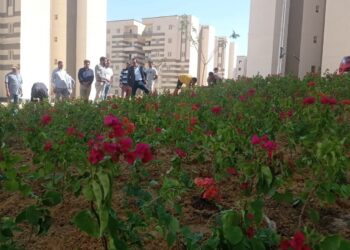 وزير الإسكان: تنفيذ ٤٨٧٢ وحدة سكنية بالمبادرة الرئاسية “سكن لكل المصريين” بـ15 مايو