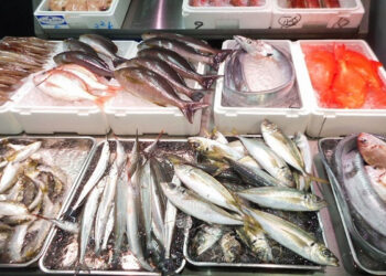 أسعار الأسماك في سوق العبور اليوم الإثنين