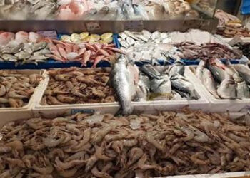 أسعار الأسماك في سوق العبور اليوم السبت