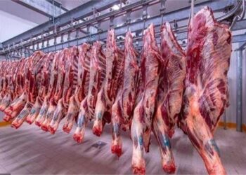 أسعار اللحوم الحمراء اليوم الخميس