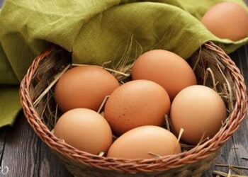 استقرار ملحوظ في أسعار البيض في مصر اليوم السبت 16 نوفمبر 2024