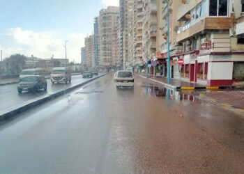 غدًا طقس بارد وشبورة وأمطار ببعض المناطق 