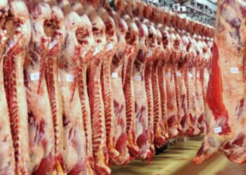 أسعار اللحوم الحمراء اليوم الثلاثاء
