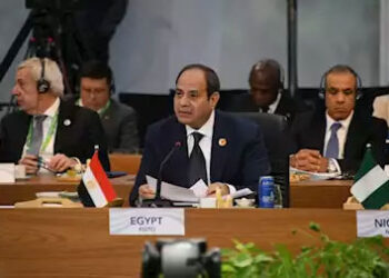 الرئيس السيسي يجدد دعوة مصر لتدشين مركز عالمي لتخزين وتوزيع الحبوب والمواد الغذائية على أرضها