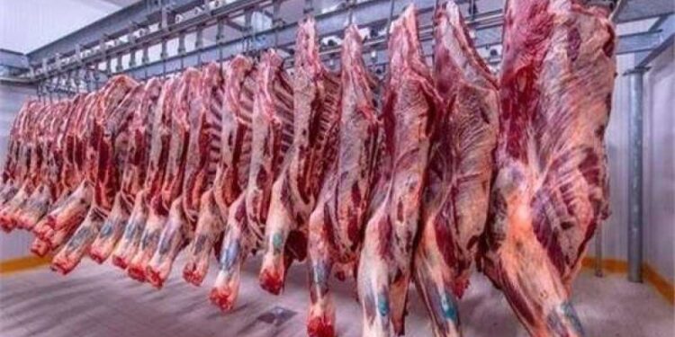 أسعار اللحوم الحمراء اليوم السبت