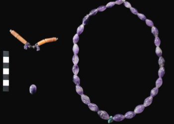 اكتشاف أول مقبرة من عصر الدولة الوسطى بجبانة العساسيف