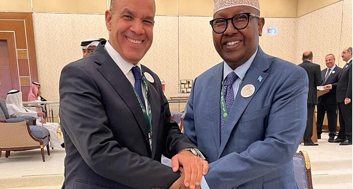 وزير الخارجية والهجرة يلتقي نظيره الصومالي في الرياض