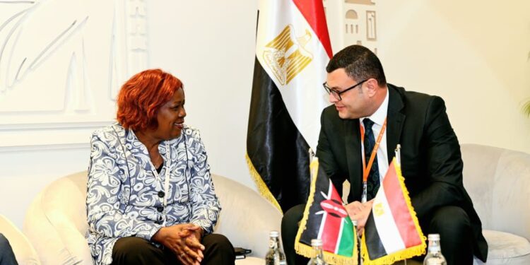 وزير الإسكان يعرض التجربة العمرانية المصرية على نظيرته الكينية.. ويبحثان سبل تعزيز التعاون المشترك