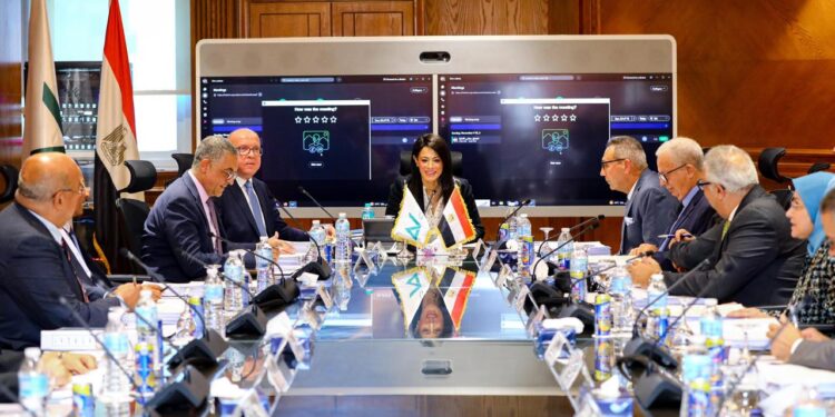 وزيرة التخطيط: تترأس اجتماع مجلس إدارة بنك الاستثمار القومي