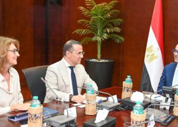 وزير الاستثمار يبحث سبل التعاون مع منظمة الأمم المتحدة للتنمية الصناعية