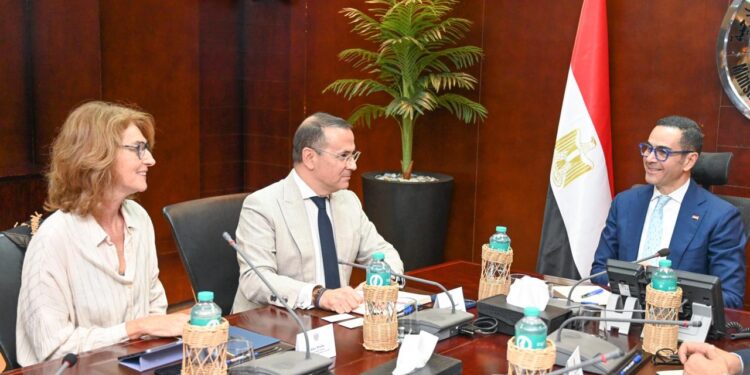وزير الاستثمار يبحث سبل التعاون مع منظمة الأمم المتحدة للتنمية الصناعية