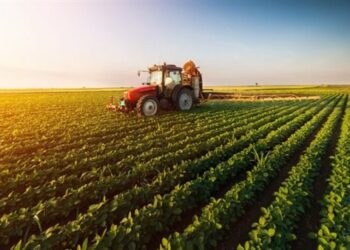 أهم مشروعات استصلاح الأراضى لزيادة الرقعة الزراعية.. اعرف التفاصيل