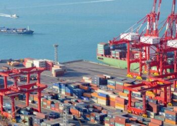 جمارك بورسعيد: الإفراج عن 5589 شهادة جمركية وتحصيل 7.1 مليار جنيه خلال أكتوبر 2024