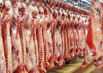 أسعار اللحوم الحمراء اليوم الأربعاء