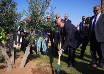 رئيس الرقابة المالية وقيادات قطاع التأمين يزرعون مجموعة أشجار بمدينة شرم الشيخ