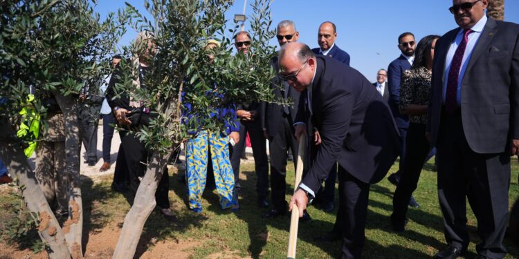 رئيس الرقابة المالية وقيادات قطاع التأمين يزرعون مجموعة أشجار بمدينة شرم الشيخ