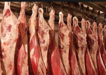 أسعار اللحوم الحمراء اليوم الجمعة