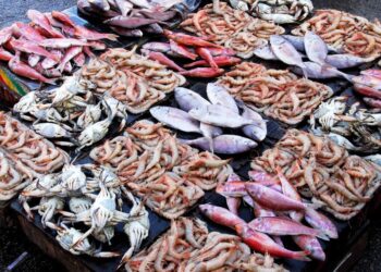 أسعار الأسماك في سوق العبور اليوم الجمعة