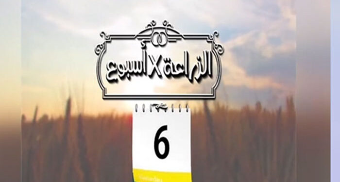 بالانفوجراف والفيديو.. الحصاد الاسبوعي لوزارة الزراعة