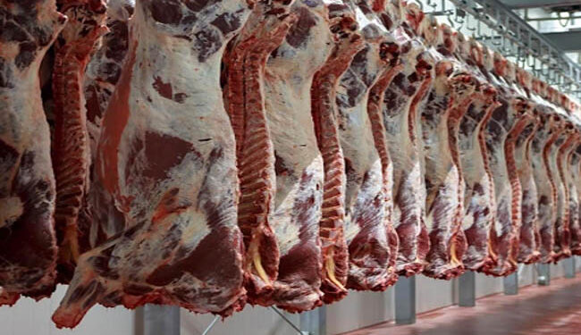 أسعار اللحوم الحمراء اليوم الإثنين