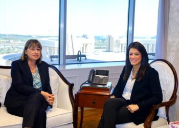 المشاط: التكامل بين الدبلوماسية الاقتصادية وآليات التخطيط لدفع جهود التنمية