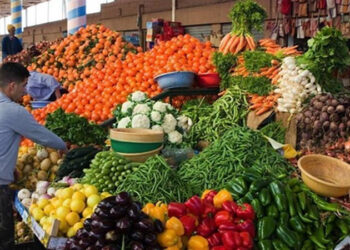 أسعار الخضار والفاكهة اليوم الأربعاء