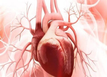 دراسة: صحة القلب قد تتدهور منذ الطفولة لهذا السبب