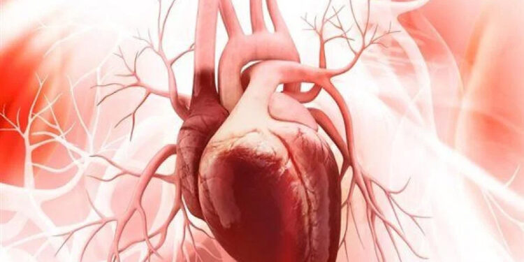 دراسة: صحة القلب قد تتدهور منذ الطفولة لهذا السبب
