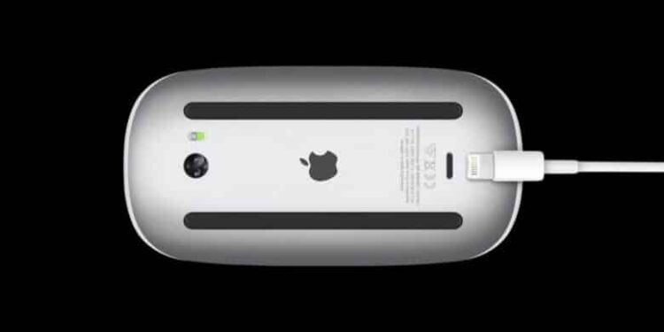 Magic Mouse Magic Mouse