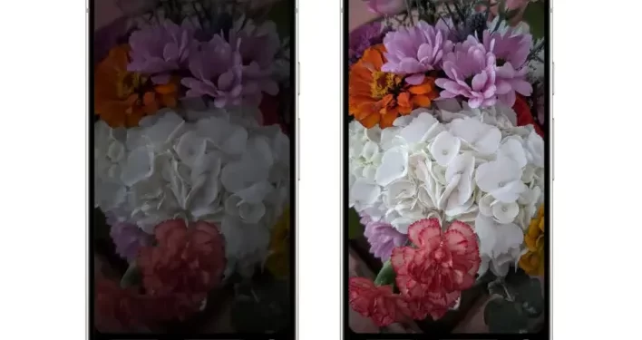 إنستجرام  إنستجرام