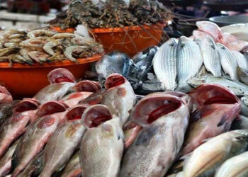 أسعار الأسماك في سوق العبور اليوم الأربعاء