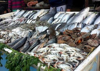 أسعار الأسماك في سوق العبور اليوم الجمعة