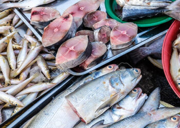 أسعار الأسماك في سوق العبور اليوم الثلاثاء