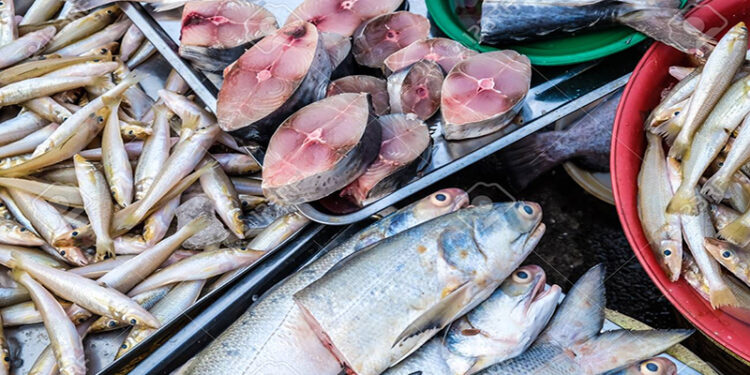 أسعار الأسماك في سوق العبور اليوم الثلاثاء