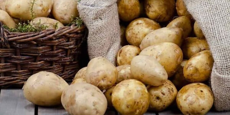 الحجر الزراعي يكشف حقيقة نقص تقاوي البطاطس الواردة