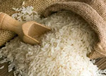 سعر الأرز الشعير اليوم..  تحديثات الأسعار اليوم الأحد 1 ديسمبر في السوق المصري