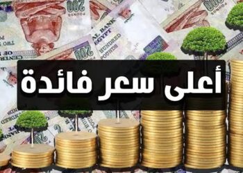 بأعلى عائد.. تعرف على تفاصيل شهادات الادخار 2024 في البنوك 