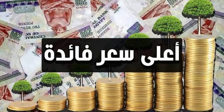 بأعلى عائد.. تعرف على تفاصيل شهادات الادخار 2024 في البنوك