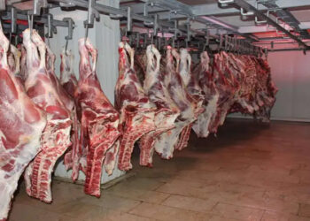 أسعار اللحوم الحمراء اليوم الإثنين