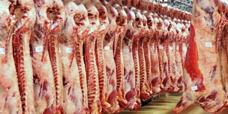 أسعار اللحوم اليوم في الأسواق
