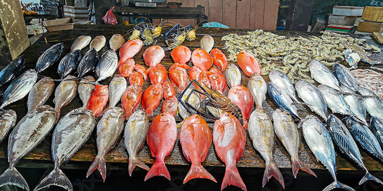 أسعار الأسماك في سوق العبور اليوم الجمعة