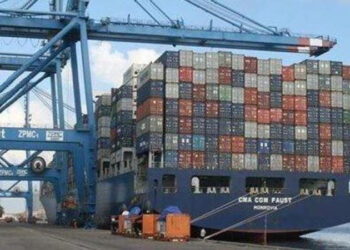 طولها يصل 57 مترًا.. أهم المعلومات عن أوناش ميناء دمياط العملاقة