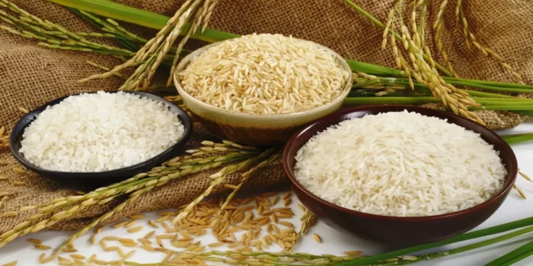 تطورات أسعار أرز الشعير في السوق المحلي اليوم الأحد 8 ديسمبر 2024