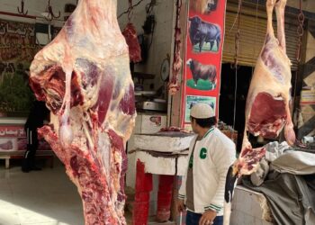 أسعار اللحوم الحمراء اليوم الأحد