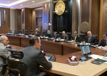 مدبولي يلتقي المدير التنفيذى لشركة “جنرال إلكتريك هيلثكير” لاستعراض مشروع تصنيع أجهزة “السونار”